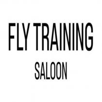 fly training saloon
