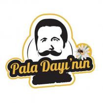 pala dayı'nın