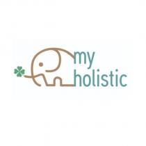 my holistic