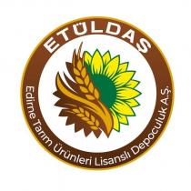 etüldaş edirne tarım ürünleri lisanslı depoculuk a.ş.