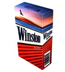 winston filters