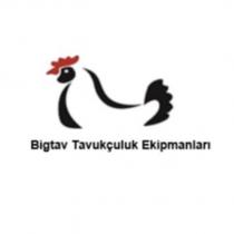 bigtav tavukçuluk ekipmanları