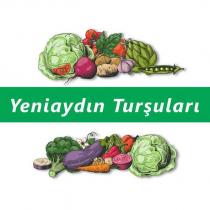 yeniaydın turşuları