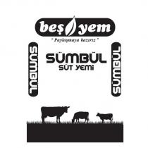 beşyem 