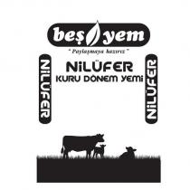 beşyem ''paylaşmaya hazırız'' nilüfer kuru dönem yemi