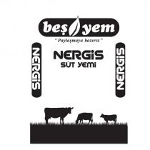 beşyem ''paylaşmaya hazırız'' nergis süt yemi