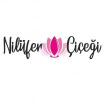 nilüfer çiçeği