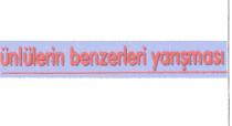 ünlülerin benzerleri yarışması
