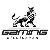 gaming bilgisayar