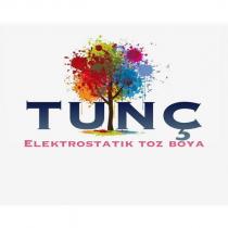 tunç elektrostatık toz boya