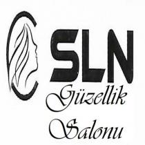 sln güzellik salonu