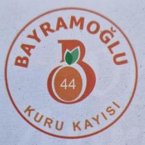 44 bayramoğlu kuru kayısı