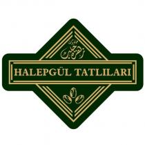halepgül tatlıları