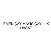 emek çay mayıs çayı ilk hasat