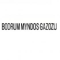 bodrum myndos gazozu