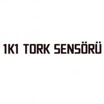 1k1 tork sensörü
