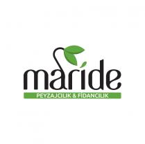 maride peyzajcılık & fidancılık