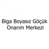 biga boyasız göçük onarım merkezi