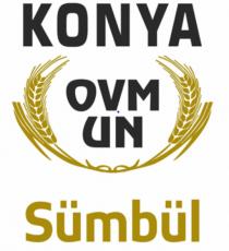 konya ovm un sümbül