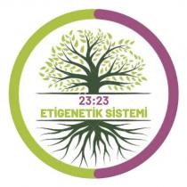 23:23 etigenetik sistemi