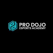 pro dojo esports academy