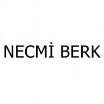 necmi berk