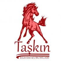 taşkın eğitim kurumları