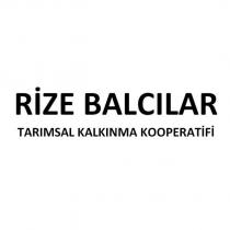 rize balcılar tarımsal kalkınma kooperatifi