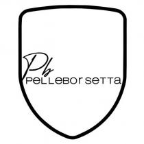 pb pelleborsetta