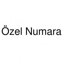 özel numara