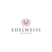edelweiss academy