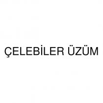 çelebiler üzüm