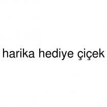 harika hediye çiçek