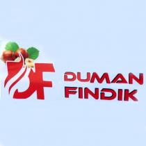 df duman fındık