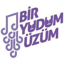bir yudum üzüm