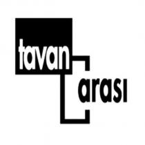 tavan arası