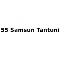 55 samsun tantuni
