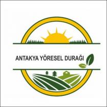 antakya yöresel durağı