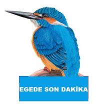 egede son dakika