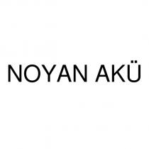 noyan akü