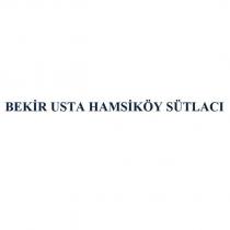 bekir usta hamsiköy sütlacı
