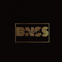 bnss concept