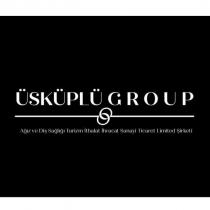 üsküplü group ağız ve diş sağlığı turizm ithalat ihracat sanayi ticaret limited şirketi