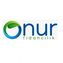 onur fidancılık