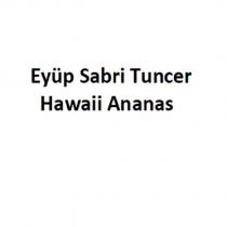 eyüp sabri tuncer hawaii ananas