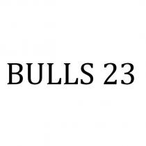 bulls 23