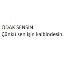 odak sensin çünkü sen işin kalbindesin.
