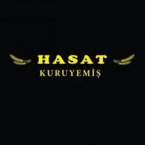 hasat kuruyemiş
