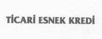 ticari esnek kredi