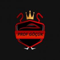 prof göçük